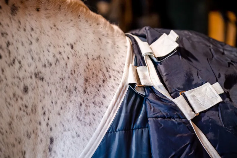 Horseware Eco Liner 200g Teal Eco Print/Grey-3